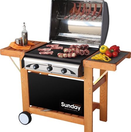 BARBECUE GAS GRILL PROFY 3 W INOX SUNDAY